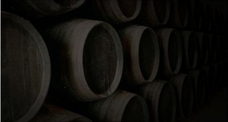 Nuestra sala de barricas